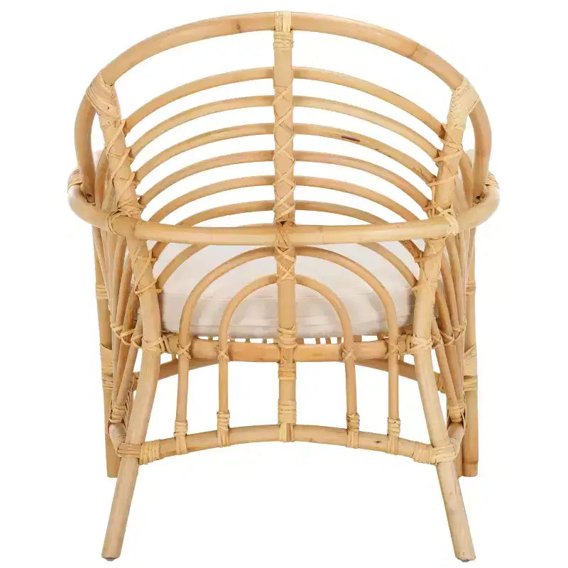 Aragorn Accent Chair W/ Cushion - ACH6529 - Safavieh