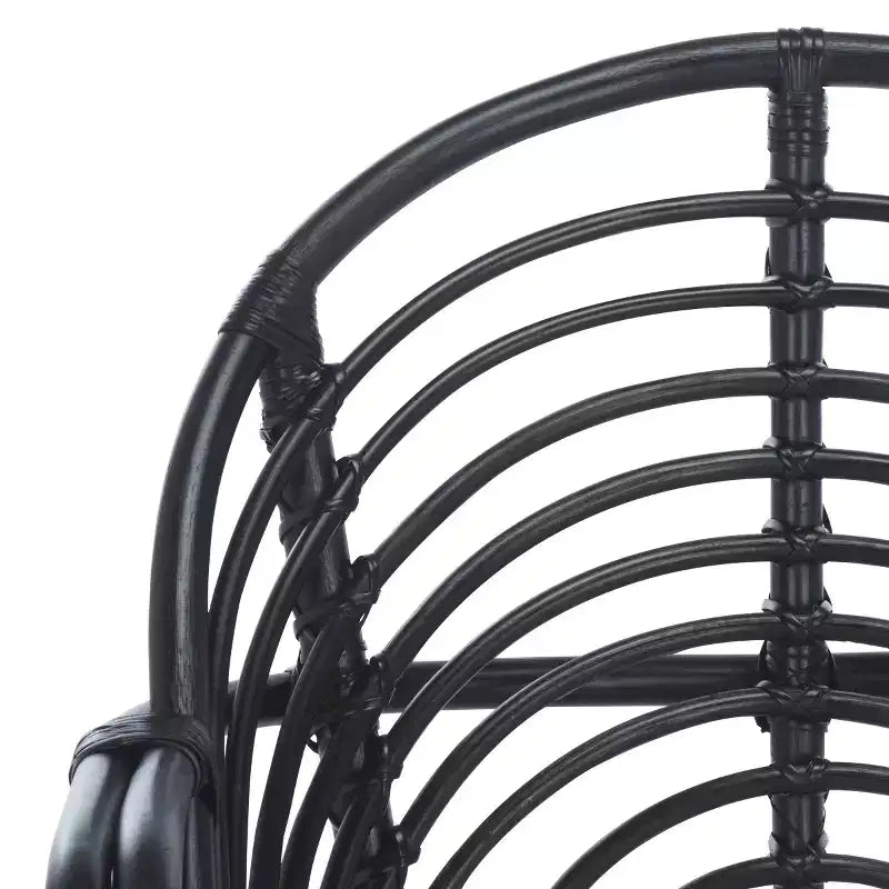Aragorn Accent Chair W/ Cushion - ACH6529 - Safavieh