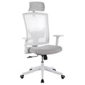 COZONY High-Back Office Chair with Adjustable Lumbar Support, Mesh Desk Chair with Flip-Up Armrests for Home or Office