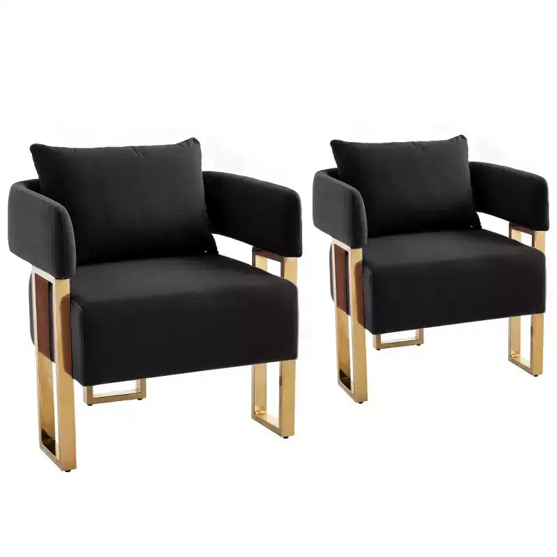 Set of 2 Modern Upholstered Accent Chairs with Gold Metal Legs, Soft Padded Side Chairs for Living Room, Bedroom, or Dressing Area-Panipeachy
