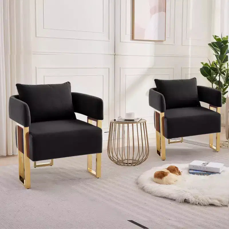 Set of 2 Modern Upholstered Accent Chairs with Gold Metal Legs, Soft Padded Side Chairs for Living Room, Bedroom, or Dressing Area-Panipeachy