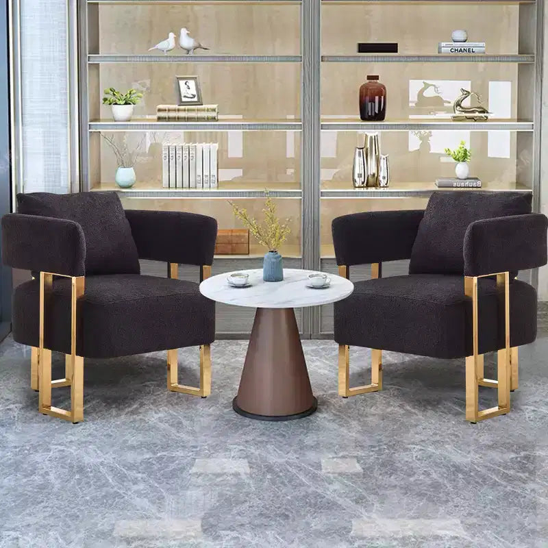 Zeus & Ruta Modern Accent Chairs Set of 2 with Teddy Fleece Upholstered & Gold Metal Legs
