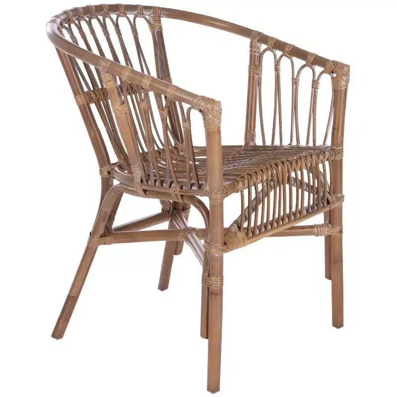 Fauteuil d'appoint en rotin Adriana - ACH6505 - Lot de 2 - Safavieh