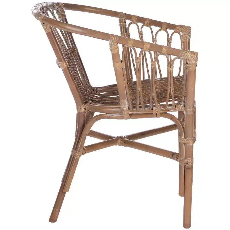 Fauteuil d'appoint en rotin Adriana - ACH6505 - Lot de 2 - Safavieh