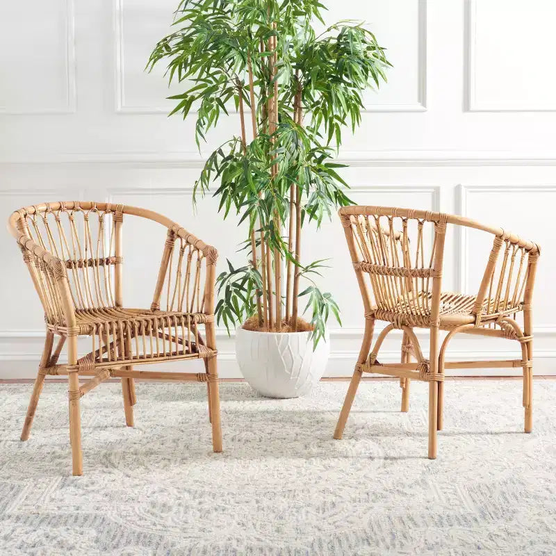 Fauteuil d'appoint en rotin Adriana - ACH6505 - Lot de 2 - Safavieh