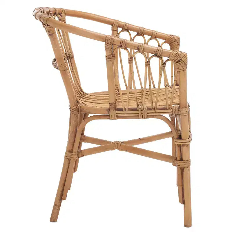 Fauteuil d'appoint en rotin Adriana - ACH6505 - Lot de 2 - Safavieh