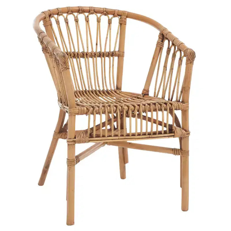 Fauteuil d'appoint en rotin Adriana - ACH6505 - Lot de 2 - Safavieh