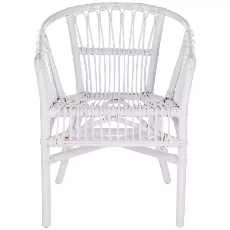 Fauteuil d'appoint en rotin Adriana - ACH6505 - Lot de 2 - Safavieh