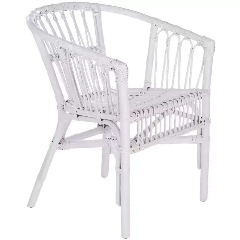 Fauteuil d'appoint en rotin Adriana - ACH6505 - Lot de 2 - Safavieh