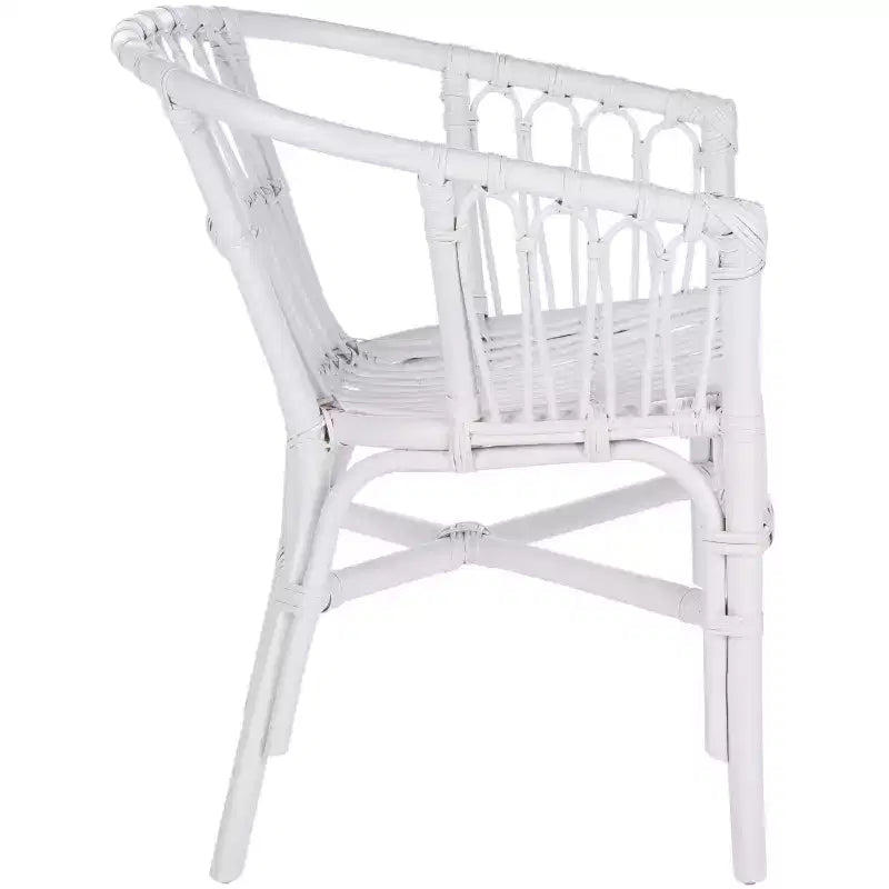 Fauteuil d'appoint en rotin Adriana - ACH6505 - Lot de 2 - Safavieh