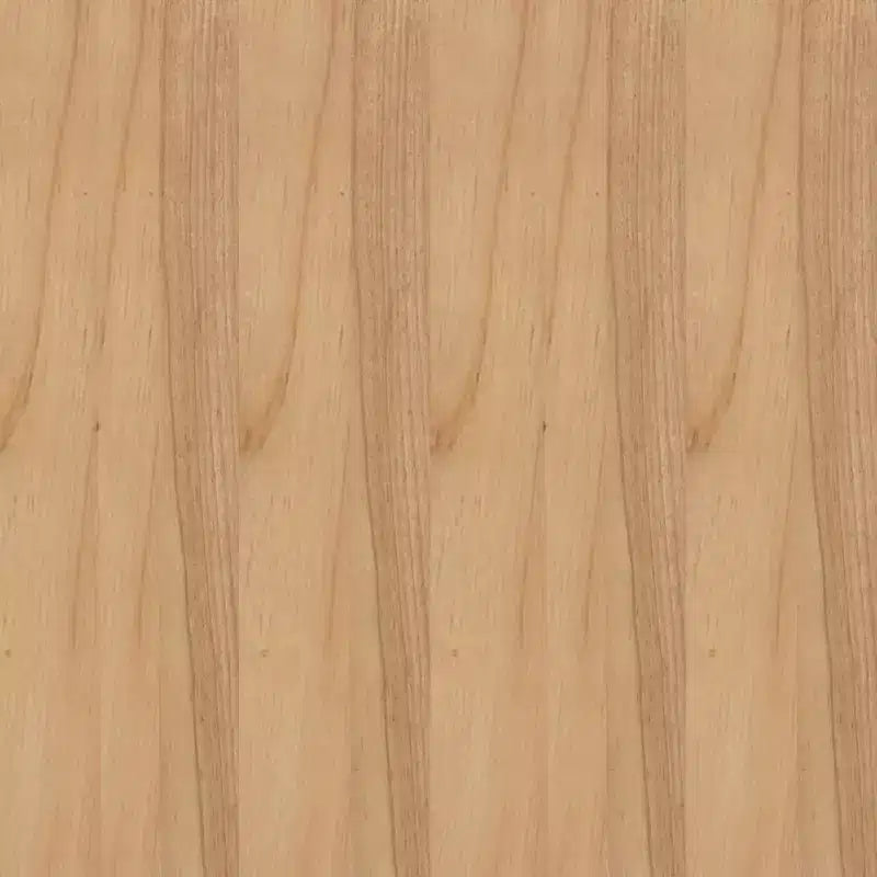 Chaise de salle à manger ou d'appoint Emma et Oliver Cane Rattan avec structure en bois massif, dossier tissé et assise coussinée