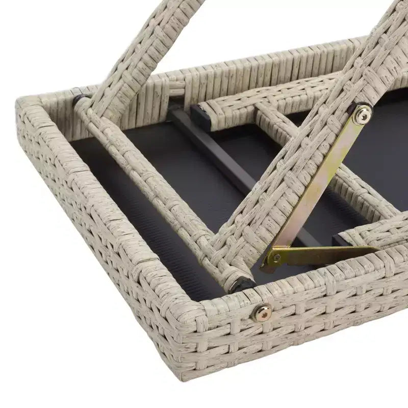 Ensemble de 3 chaises longues Carew - Intérieur/Extérieur - PAT7720 - Safavieh